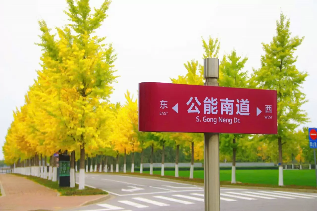 P13-50: Podzim v Tchien-ťinu - Zlaté odstíny, studený vítr a nostalgické vzpomínky P13-50: Thu Thiên Tân - Sắc vàng, gió lạnh và những nỗi nhớ