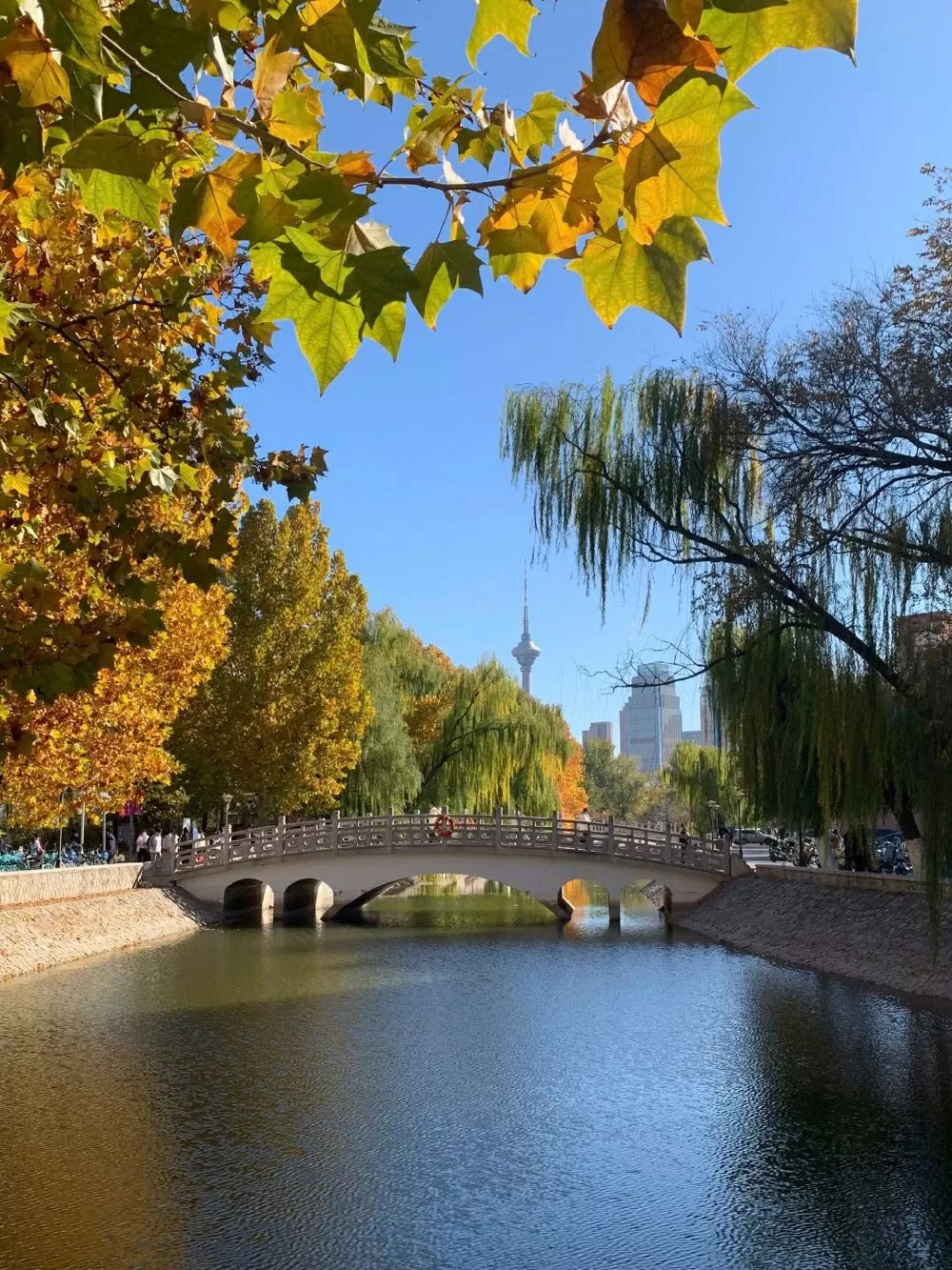 P13-50: Podzim v Tchien-ťinu - Zlaté odstíny, studený vítr a nostalgické vzpomínky P13-50: Thu Thiên Tân - Sắc vàng, gió lạnh và những nỗi nhớ