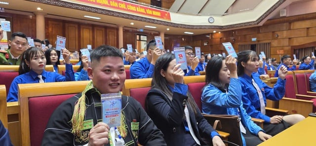 44% من المسؤولين المنتخبين في اتحاد الشباب هم عضوات في اللجنة التنفيذية لاتحاد الشباب في مقاطعة لانغ سون، الدورة الخامسة عشرة - الصورة 4. 44% nữ cán bộ Đoàn trúng cử Ban Chấp hành Tỉnh Đoàn Lạng Sơn khóa XV- Ảnh 4.