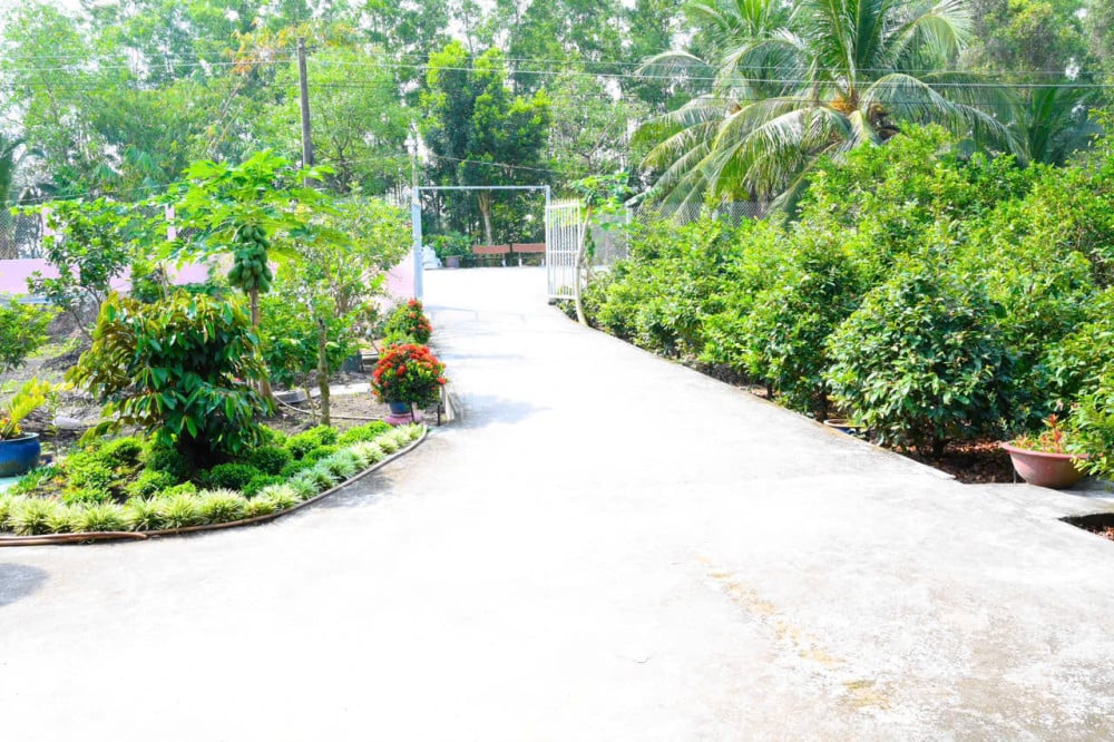 Umat paroki komune Luong Hoa bergabung tenaga untuk membina tanah air mereka.