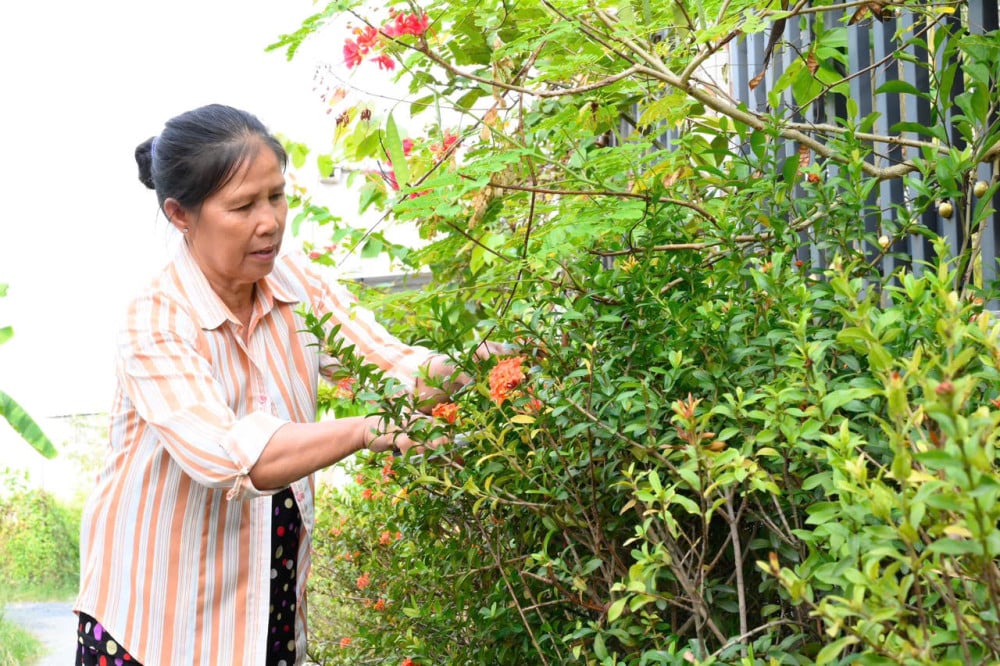 Umat paroki komune Luong Hoa bergabung tenaga untuk membina tanah air mereka.