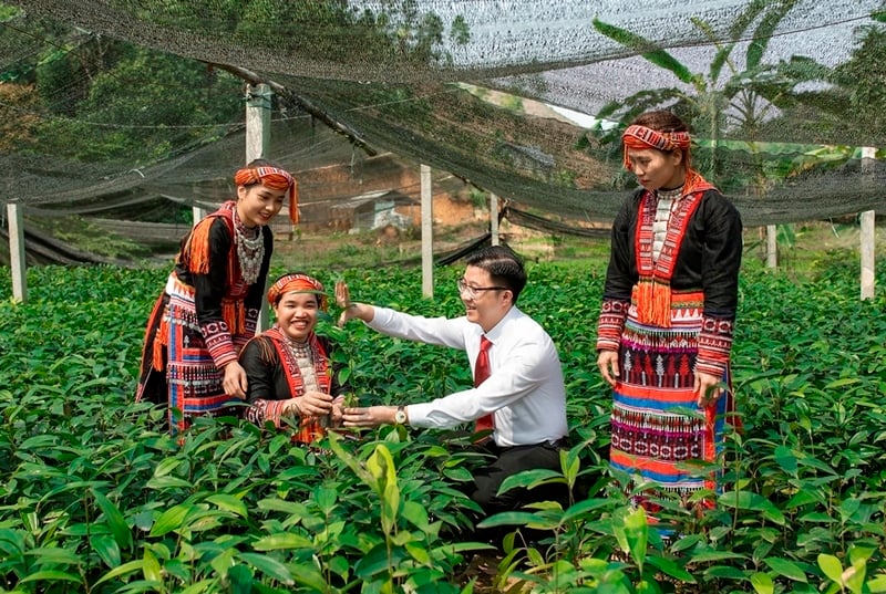 Soldul creditelor în sectorul agricol și rural la nivel național reprezintă 22,76% din totalul creditelor în economie. Foto: Duy Minh