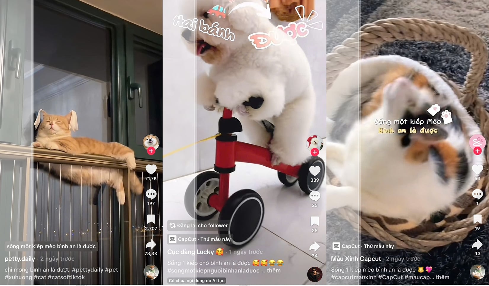 Hlavní poselství zní: „Všechny starosti lze vyřešit tím, že se jich zbavíme.“ A generace Z se svých starostí se svými mazlíčky skutečně zbavila, pokud najdou klid. Foto: Truc Son