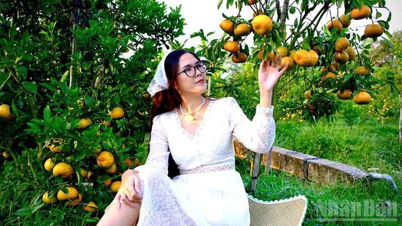 កន្លែងទាក់ទាញភ្ញៀវទេសចរសួនច្បារក្រូចឃ្វិចពណ៌ផ្កាឈូក បាជូត បានបើកទ្វារទទួលភ្ញៀវទេសចរនៅថ្ងៃដំបូងរបស់ខ្លួន។