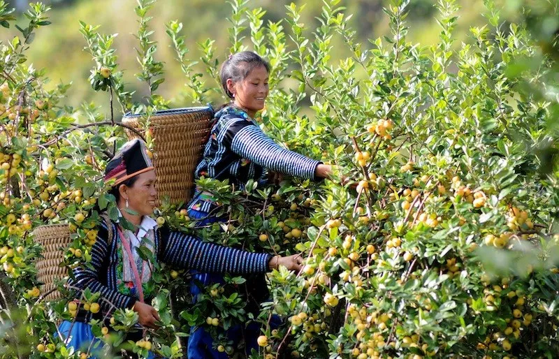 Tăng trưởng kinh tế đi đôi với tiến bộ, công bằng xã hội - Ảnh 1.