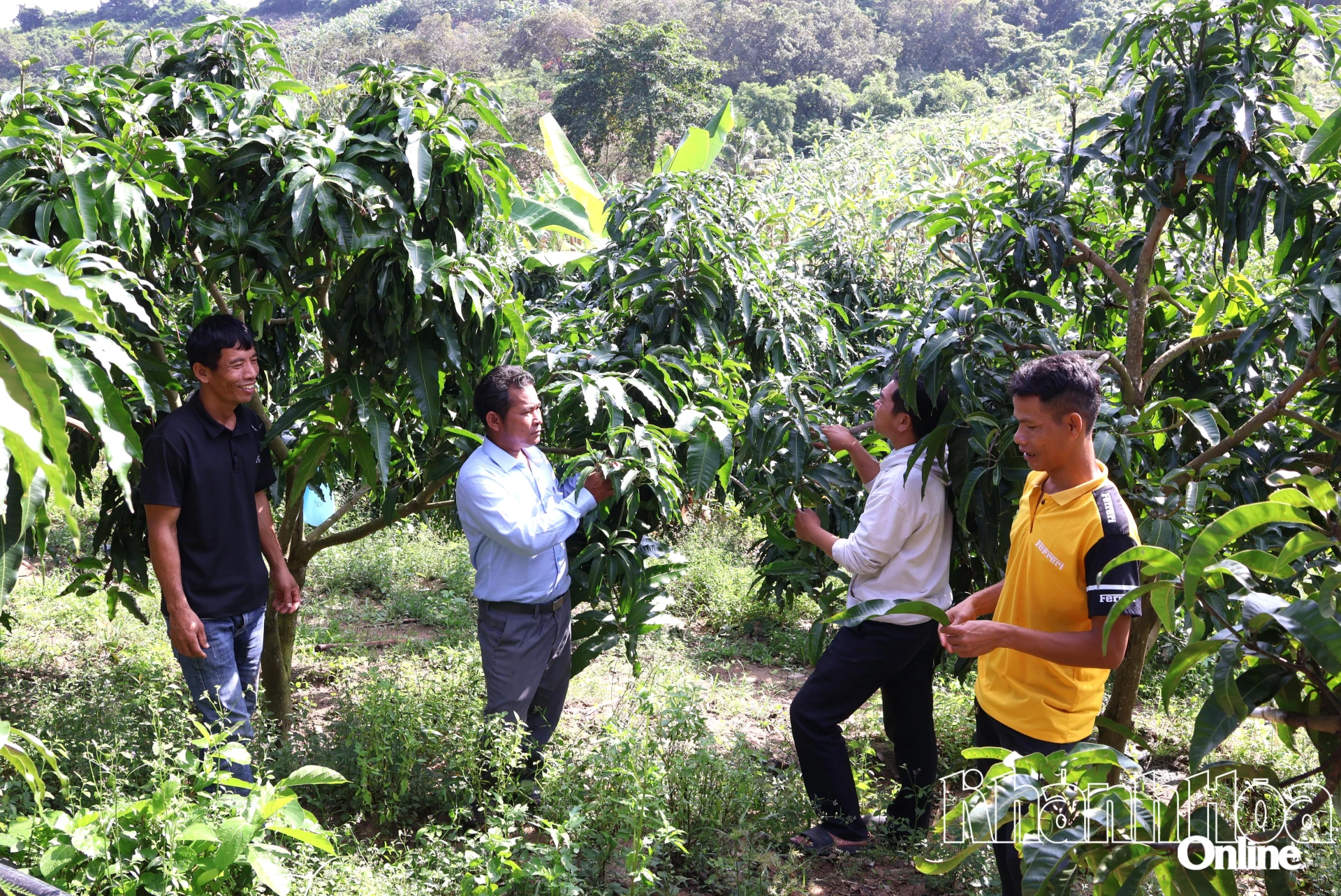 ທ່ານ ມັງ ຕາມ (ຜູ້ທີສອງຈາກຊ້າຍ) ຊຸກຍູ້ໃຫ້ຊາວບ້ານພັດທະນາເສດຖະກິດຂອງເຂົາເຈົ້າ.