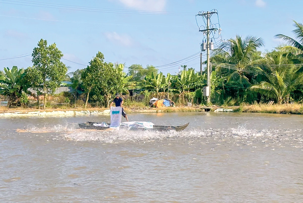 प्रमुख मत्स्यपालन प्रजातियों के विकास पर ध्यान केंद्रित करें।
