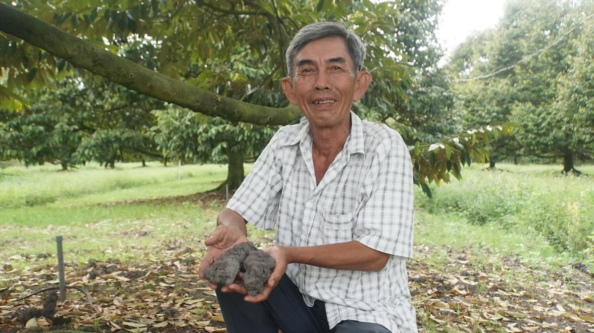 Ông Mỹ khoe thành quả chuyển đổi đất lúa sang sầu riêng VietGAP. Ảnh: Trần Trung.