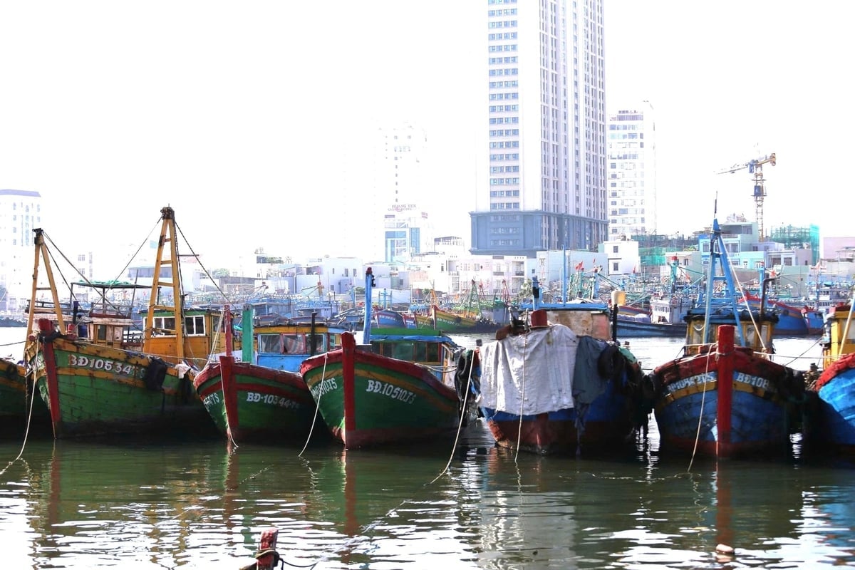 จังหวัดเกียลายมีนโยบายสนับสนุนการคัดเรือประมงที่ไม่ได้มาตรฐานออกจากระบบการจัดการเรือประมง ภาพ: วี.ดี.ที. Gia Lai có chính sách hỗ trợ để loại bỏ những tàu cá không đủ tiêu chuẩn xóa khỏi hệ thống quản lý tàu cá. Ảnh: V.Đ.T.