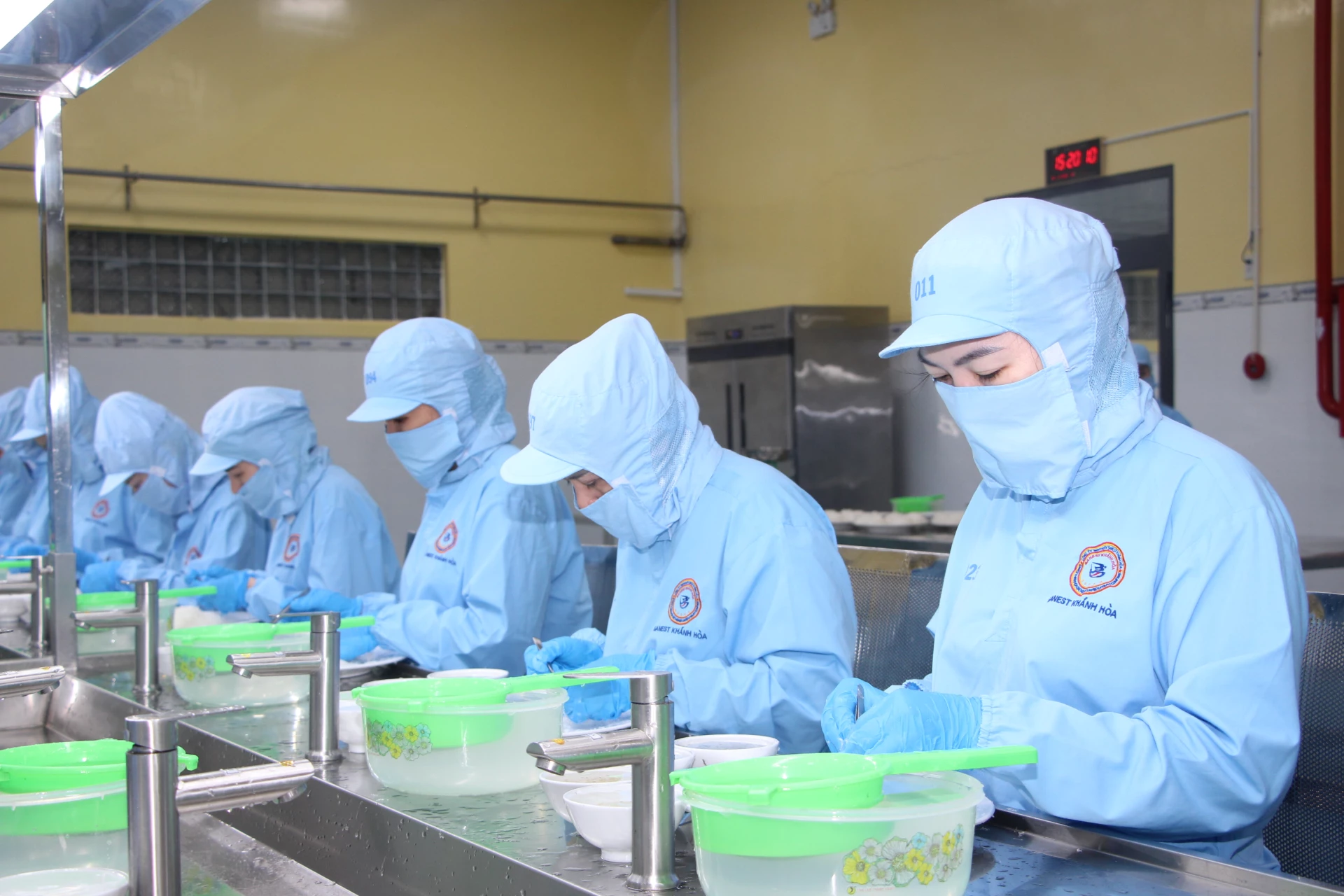 Les employés de la société d'État Khanh Hoa Salangane Nest Limited pendant leurs heures de travail.