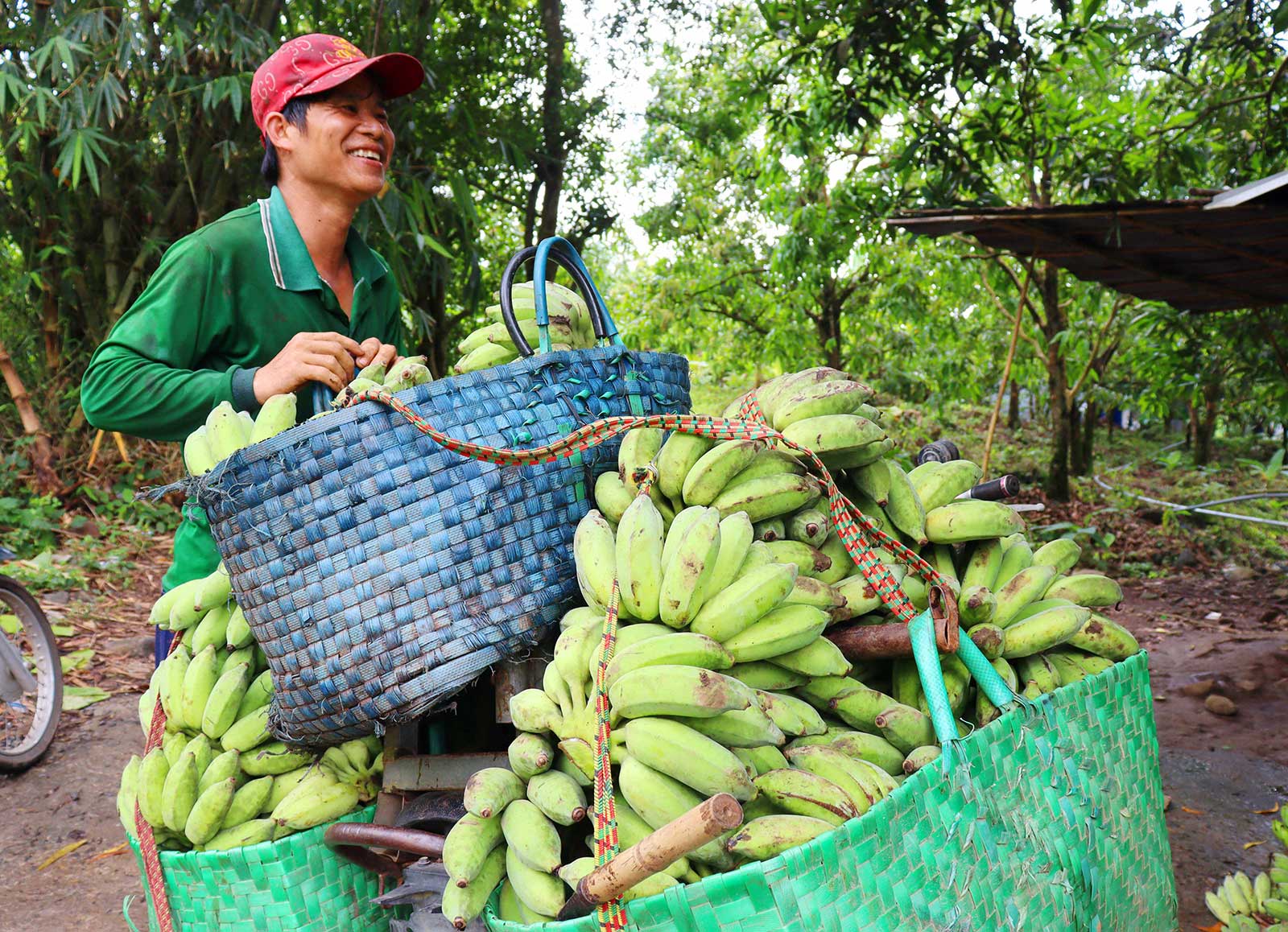 Sessiz ve Huzurlu Wo Long Dağı