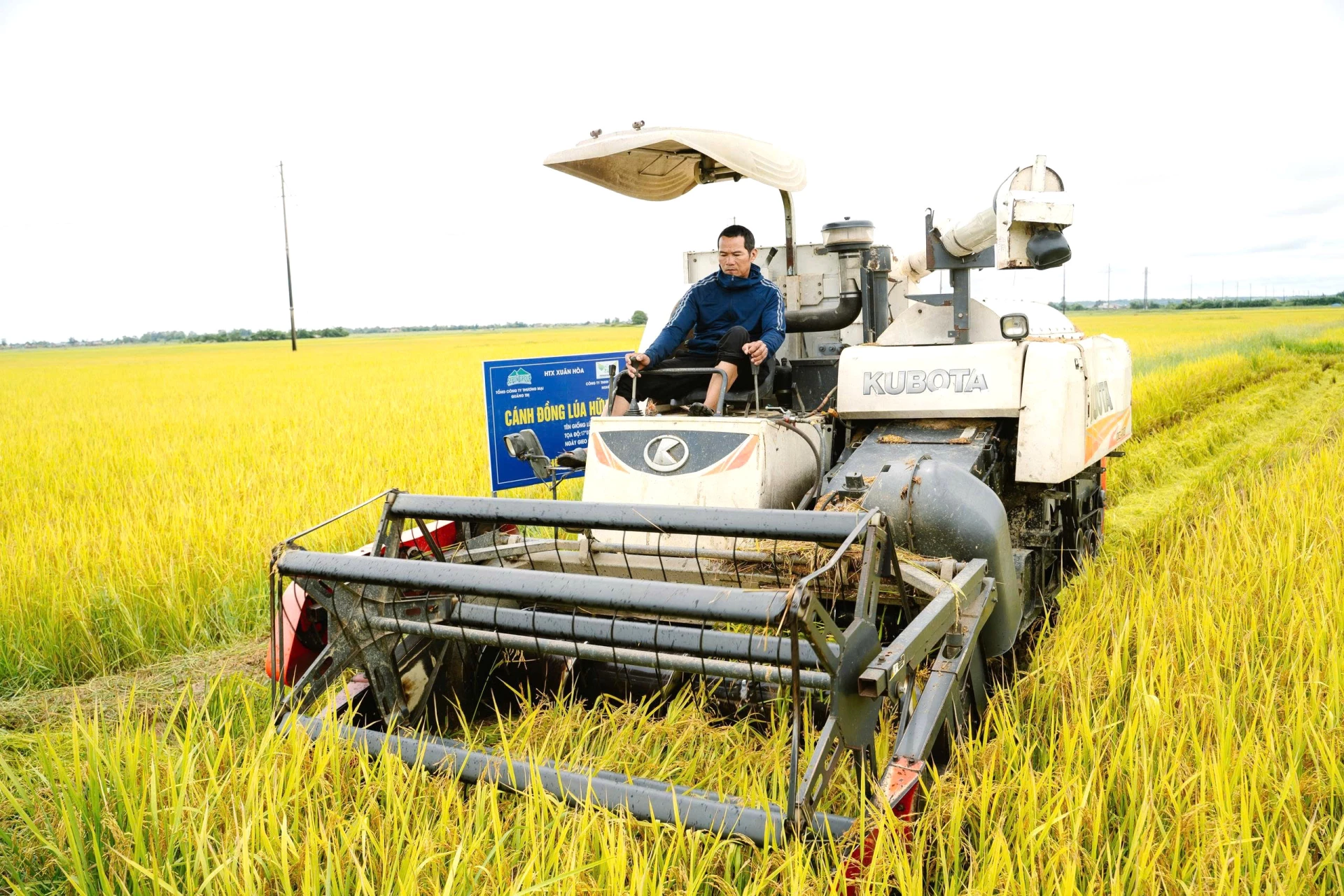 ການເກັບກ່ຽວເຂົ້າອິນຊີໃນລະດູການປູກພືດລະດູຮ້ອນ-ລະດູໃບໄມ້ຫຼົ່ນປີ 2025 ທີ່ສະຫະກອນຊວນຮວ່າ, ຕາແສງເບນຫາຍ - ຮູບພາບ: H.C