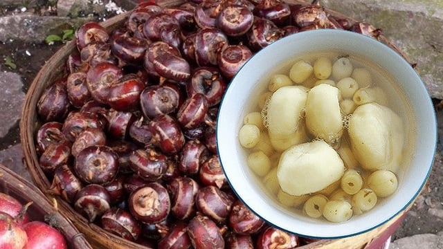 Ennek a gyökérzöldségnek a fogyasztása segít a légúti gyulladás kezelésében - 2. kép. Ăn loại củ này hỗ trợ chữa viêm đường hô hấp - Ảnh 2.