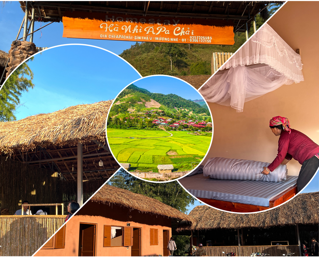 ديان بيان: يساهم تطوير السياحة المجتمعية في الحد من الفقر وتحسين حياة الناس - الصورة 4. Điện Biên: Phát triển du lịch cộng đồng góp phần xóa đói giảm nghèo, nâng cao đời sống người dân - Ảnh 4.