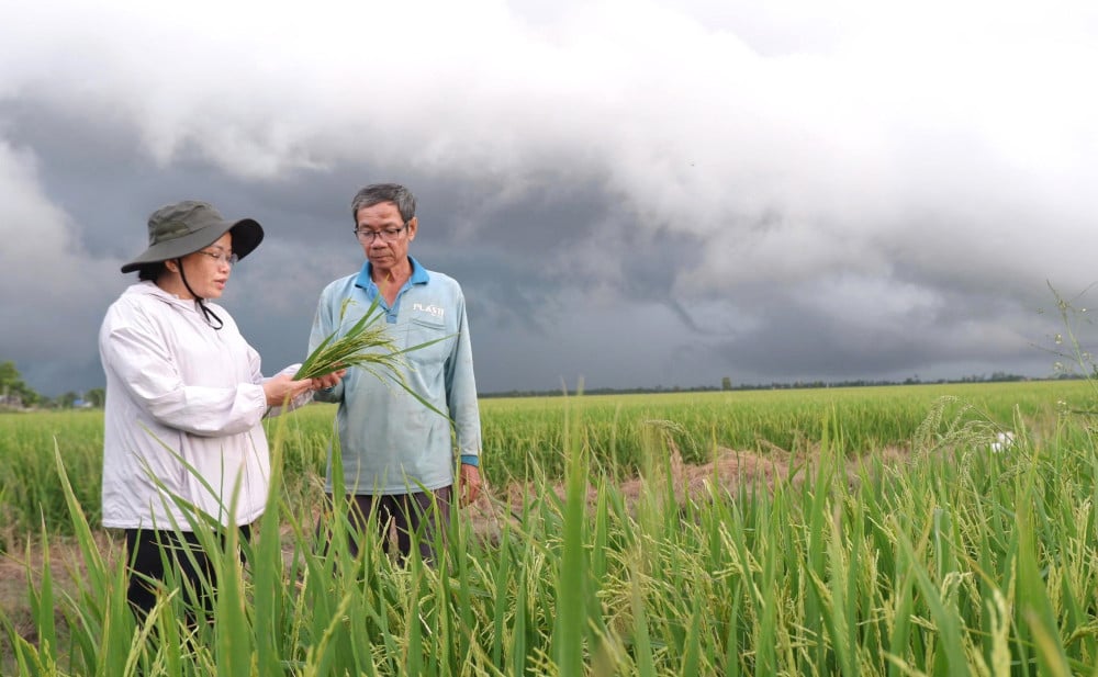 កសិកម្មបច្ចេកវិទ្យាខ្ពស់ - ចូលដល់ដំណាក់កាលថ្មីមួយដោយទំនុកចិត្ត។