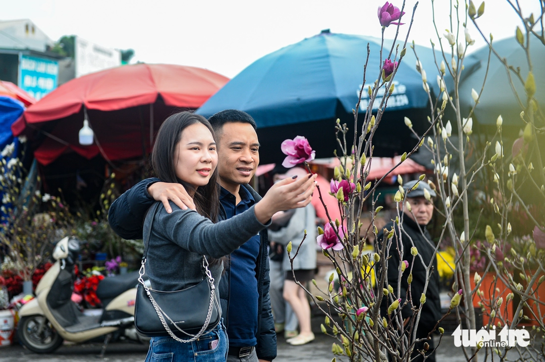 Na oslavu Tetu (vietnamského Nového roku) jsou magnólie v Hanoji velmi žádané - Foto 1.