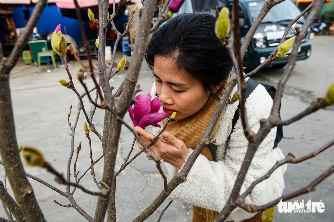 Magnolie - Fotografie 4.