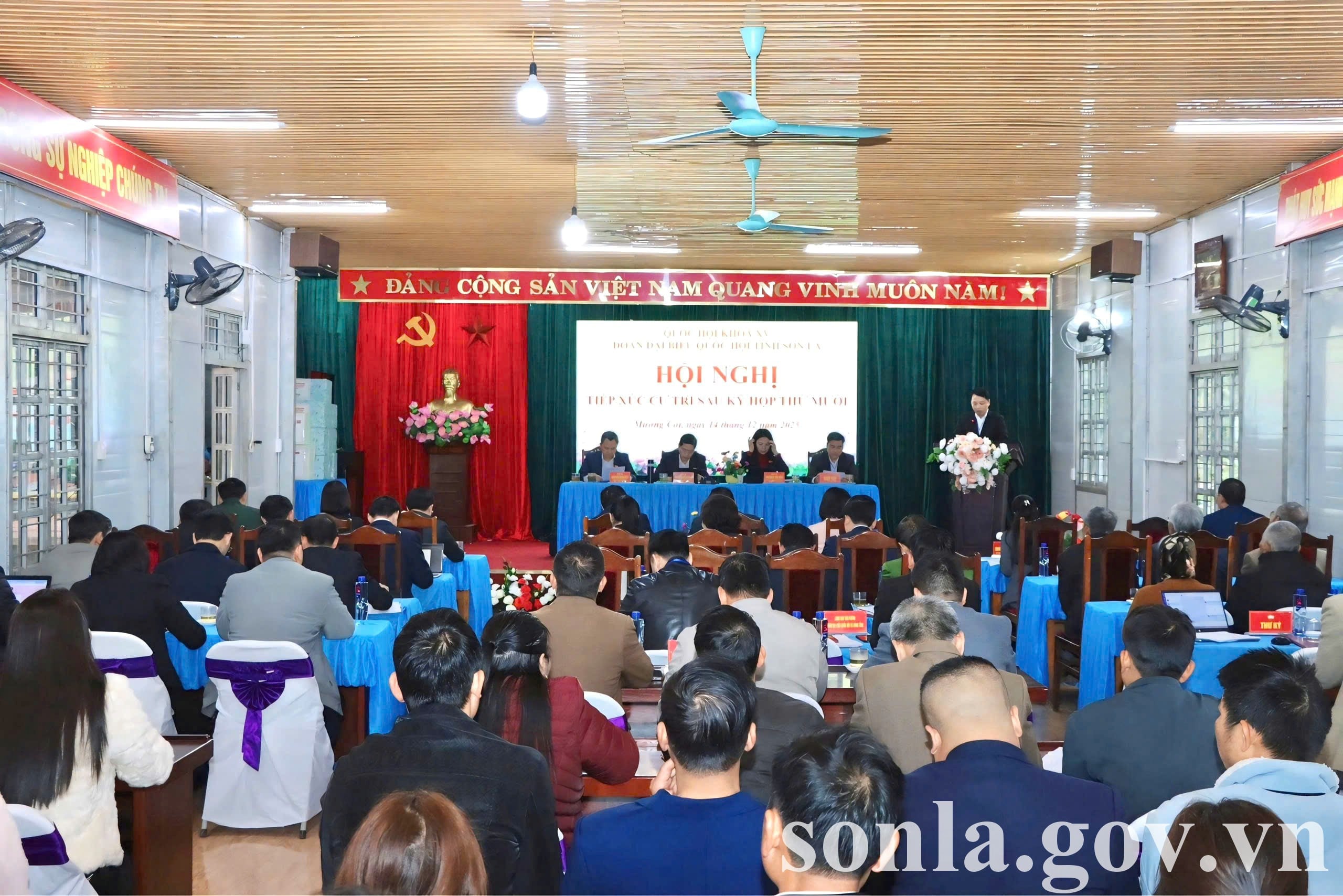 he believes the article