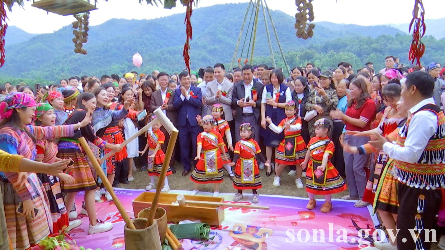 he believes the article