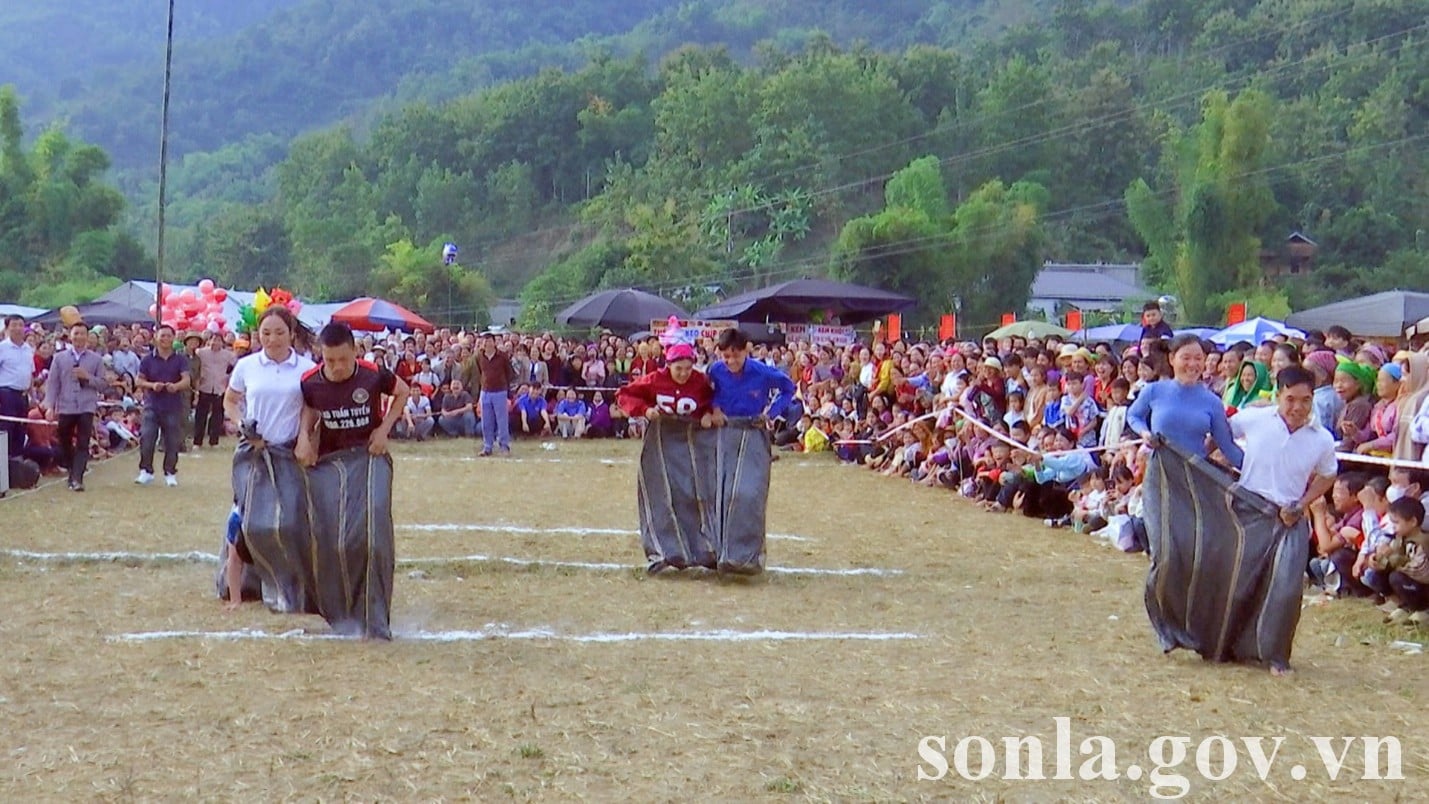 he believes the article