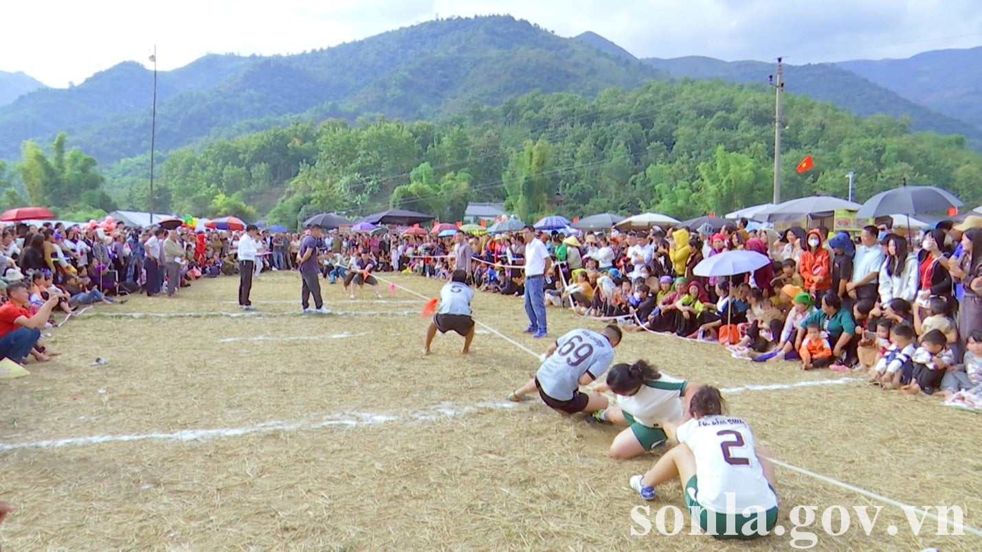 he believes the article