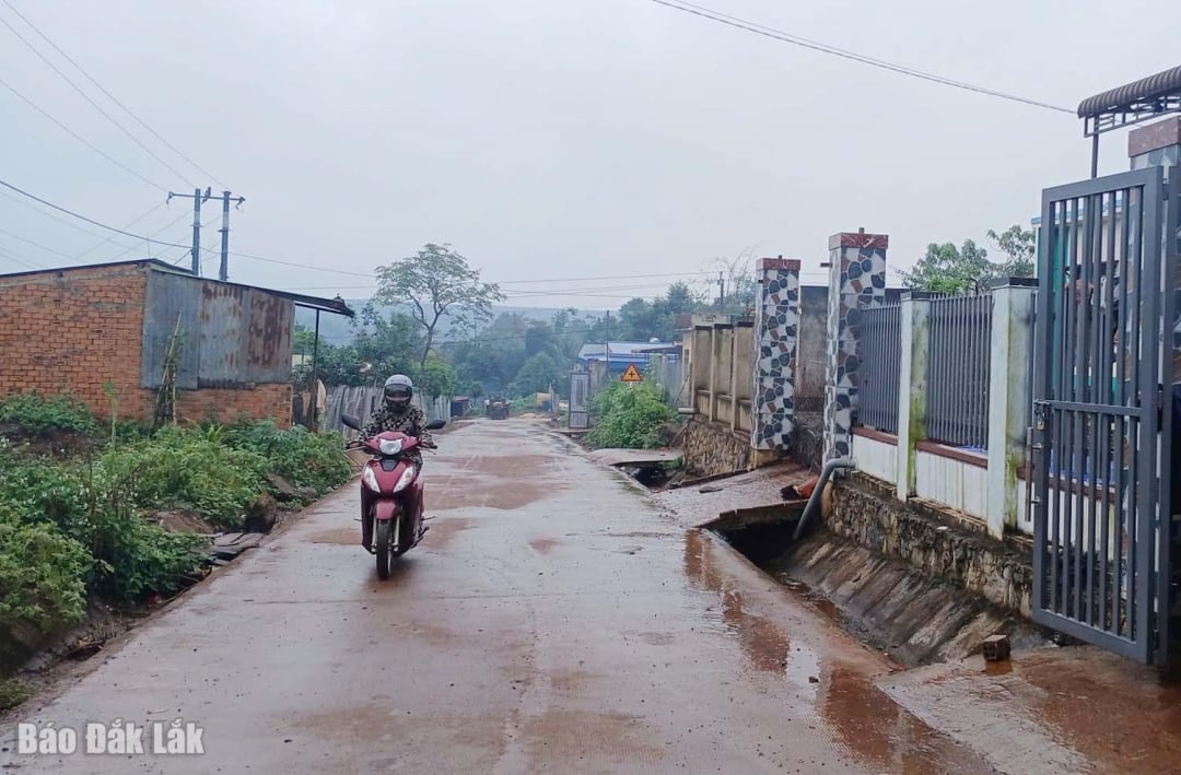 Durch die Umsetzung des Programms 1719 hat die Gemeinde Quang Phu in viele gut instand gehaltene Betonstraßen investiert und damit zur Verbesserung der Lebensbedingungen ihrer Bevölkerung beigetragen.