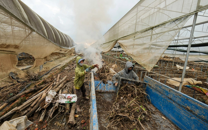 កិច្ចខិតខំប្រឹងប្រែងដើម្បីរក្សាតម្លៃឱ្យមានស្ថេរភាពក្នុងអំឡុងពេលបុណ្យតេត (បុណ្យចូលឆ្នាំចិន) - រូបថតទី 1។ hàng Tết - Ảnh 1.