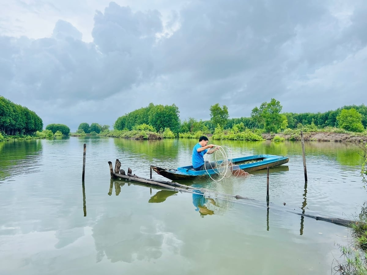 Provinsi Ca Mau telah membangun dua zona budidaya udang yang beradaptasi dengan perubahan iklim. Foto: Trong Linh. Tỉnh Cà Mau hình thành 2 vùng nuôi tôm thích ứng biến đổi khí hậu. Ảnh: Trọng Linh.