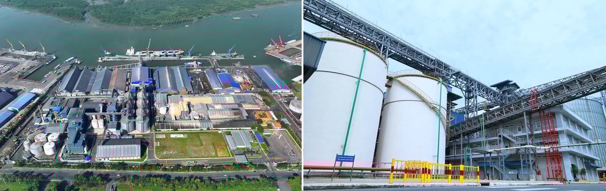 Tổng công suất ép dầu của VAL lên đến 7.800 tấn/ngày, đáp ứng khoảng 30% nhu cầu thức ăn chăn nuôi trong nước. Ảnh: Kim Châu.