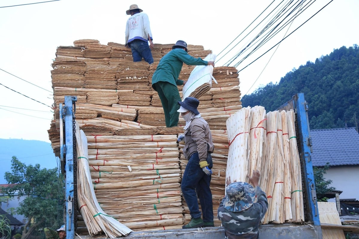 이 지역의 조림지에서 생산되는 목재를 이용한 산업 생산액은 연간 약 4,500억 VND에 달합니다. 사진: 탄 티엔. Giá trị sản xuất công nghiệp từ gỗ rừng trồng của xã đạt khoảng 450 tỷ đồng/năm. Ảnh: Thanh Tiến.