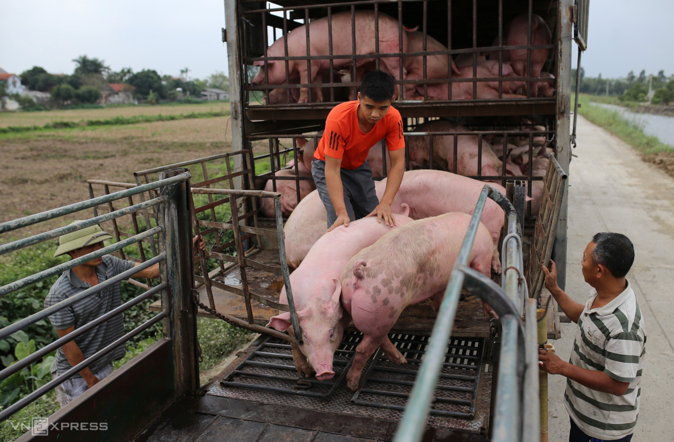 ລາຄາຊີ້ນໝູມື້ນີ້, ວັນທີ 15 ທັນວາ 2025: ເພີ່ມຂຶ້ນໃນຕົ້ນອາທິດ.