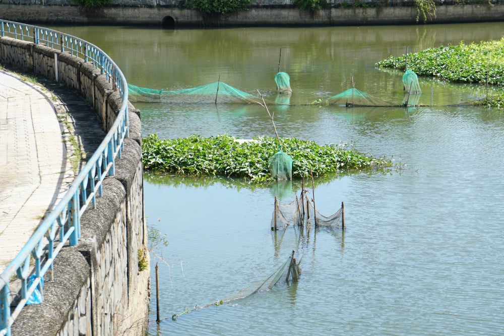 នៅមានសំណាញ់នេសាទជាច្រើននៅក្នុងព្រែកតាយនិញ។ Rạch Tây Ninh với chiều dài hơn 1km đã có 12 bộ dớn hoạt động