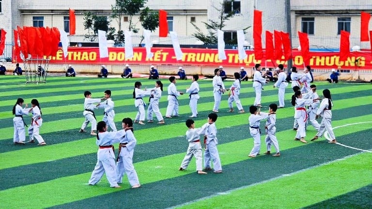 Гиа Лай: Более 500 спортсменов приняли участие в первом спортивном фестивале района Плейку - фото 3