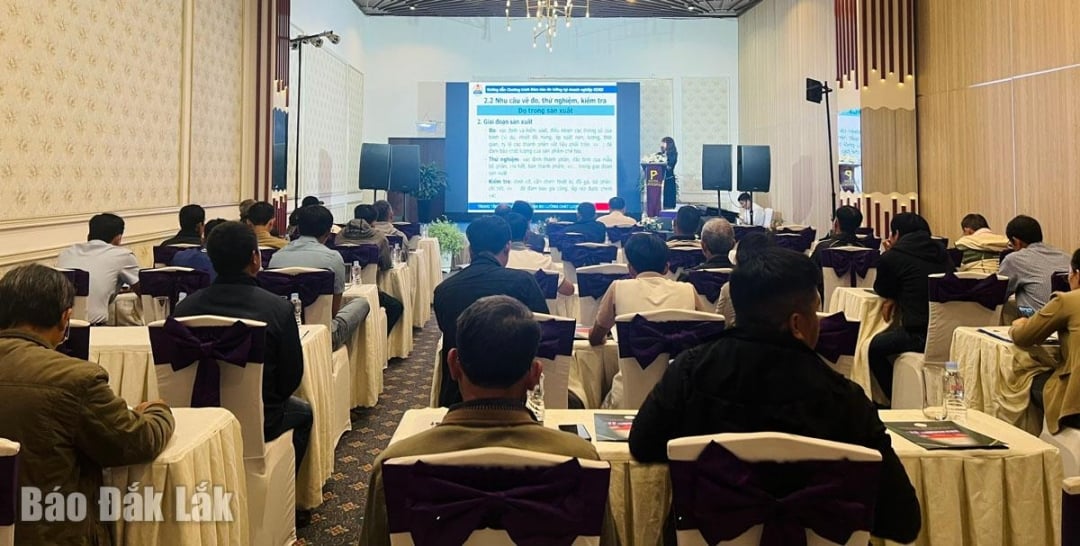 Vedere a clasei de antrenament