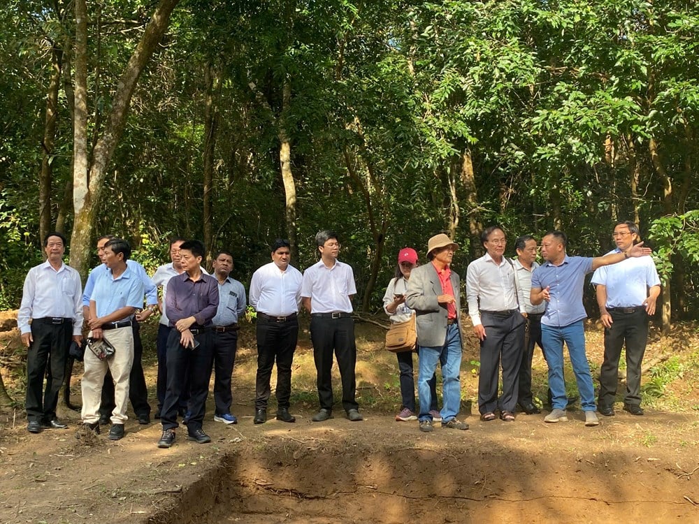 การค้นพบ 