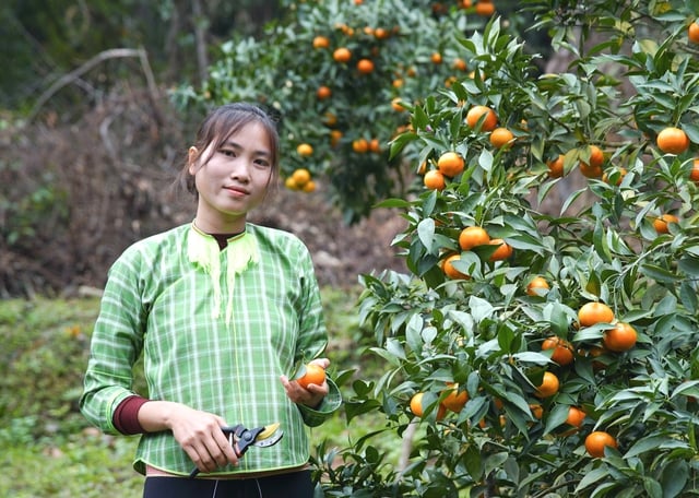 Phụ nữ xứ Lạng đổi mới tư duy làm kinh tế, đánh thức tài nguyên bản địa- Ảnh 3.
