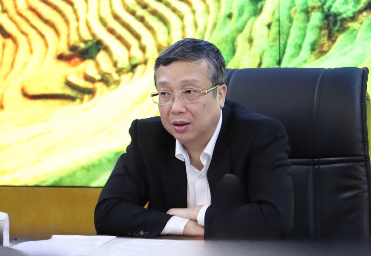 סגן השר הואנג טרונג עמד בראש הפגישה כדי לשמוע דיווחים מיחידות שונות על ההכנות לסקירה המקדימה של תוכנית הזרעים לתקופה 2021-2025. צילום: נגוין טוי. Thứ trưởng Hoàng Trung chủ trì cuộc họp nghe các đơn vị báo cáo công tác chuẩn bị sơ kết Chương trình giống giai đoạn 2021-2025. Ảnh: Nguyễn Thủy.