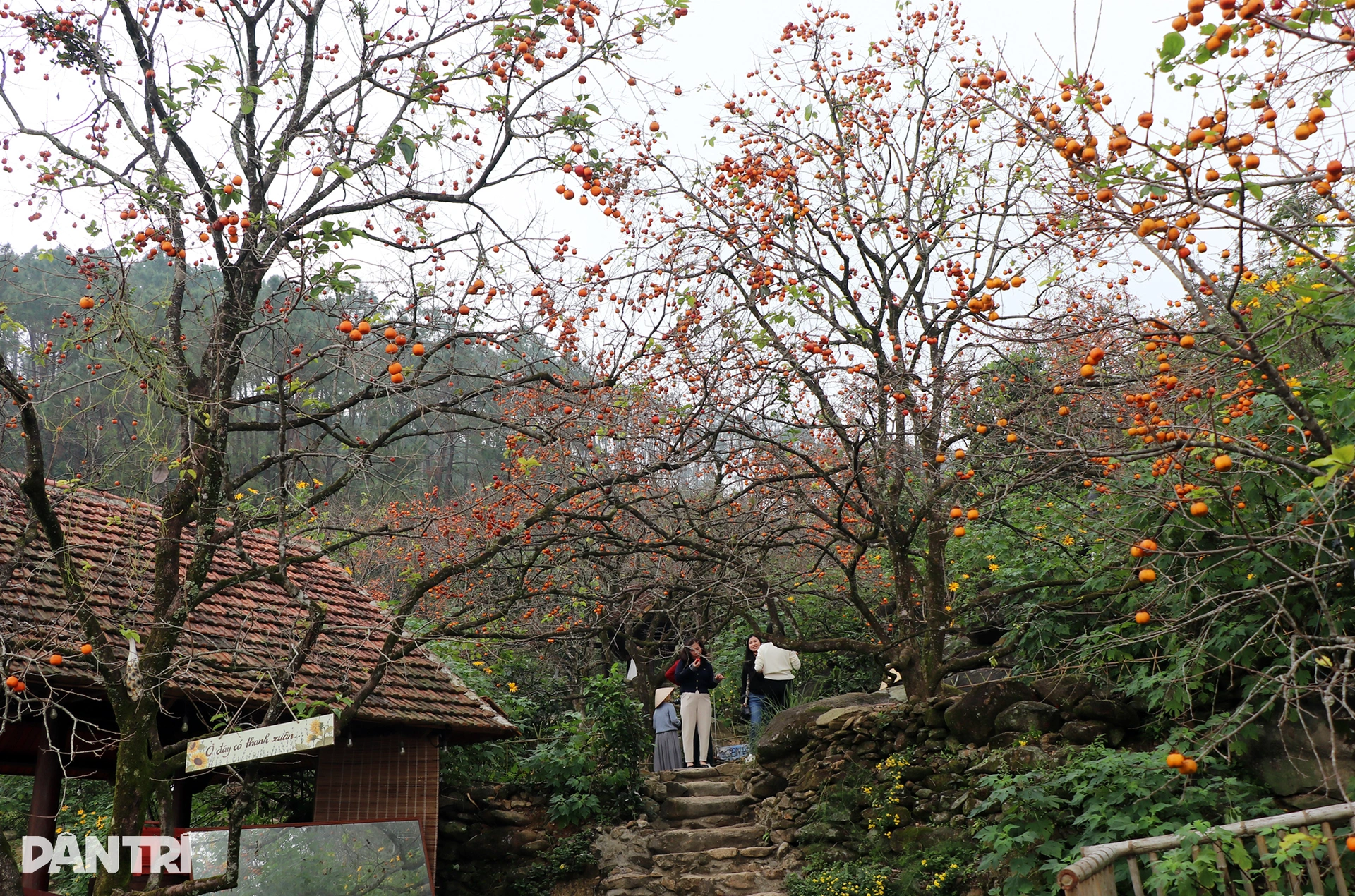 1.เว็บพี