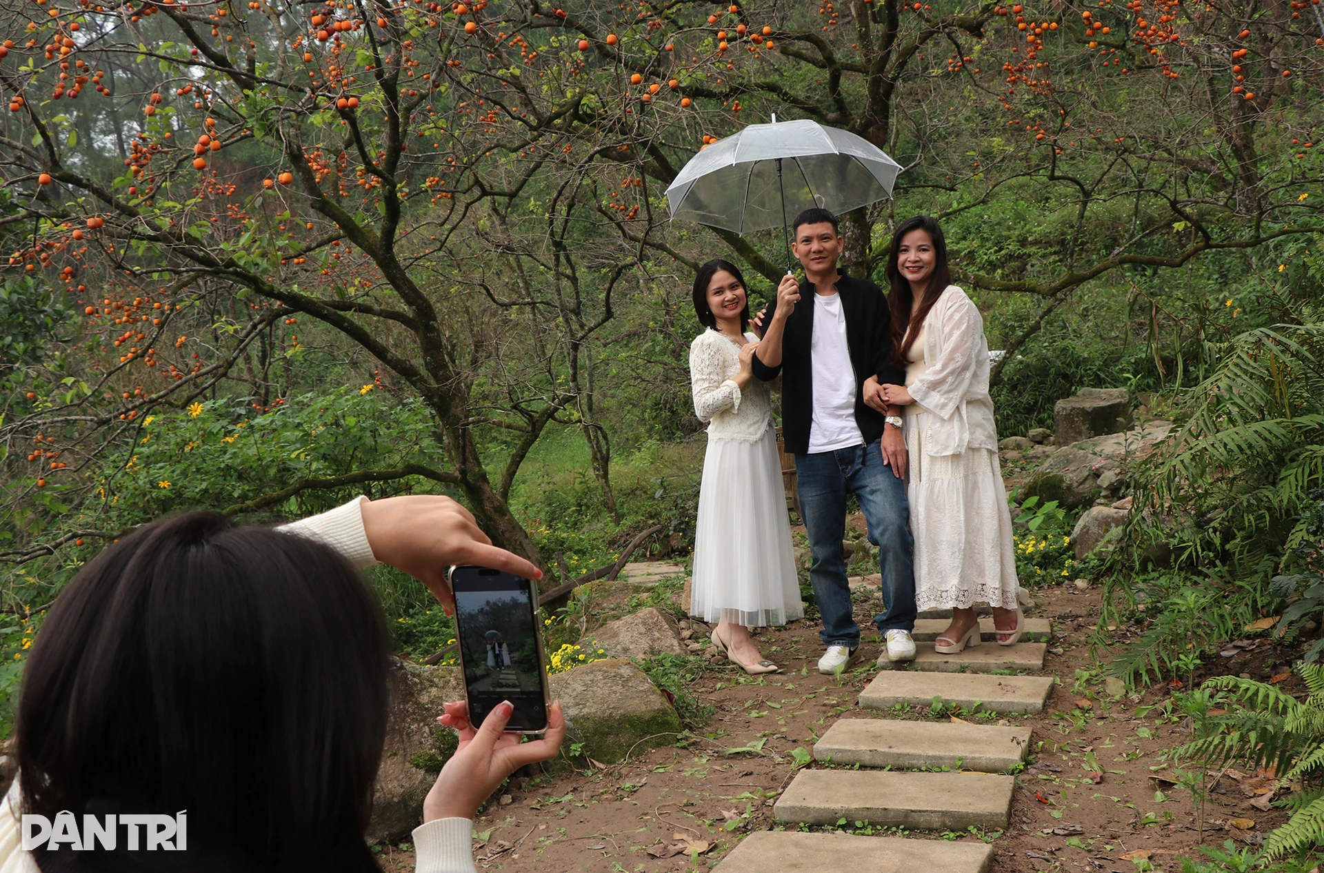 3.เว็บพี