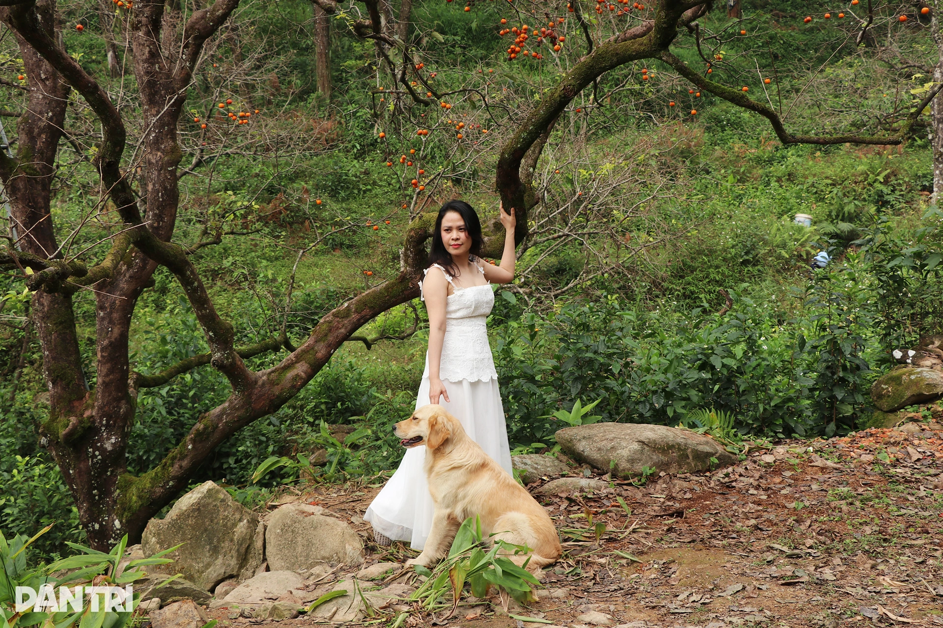 4.เว็บพี