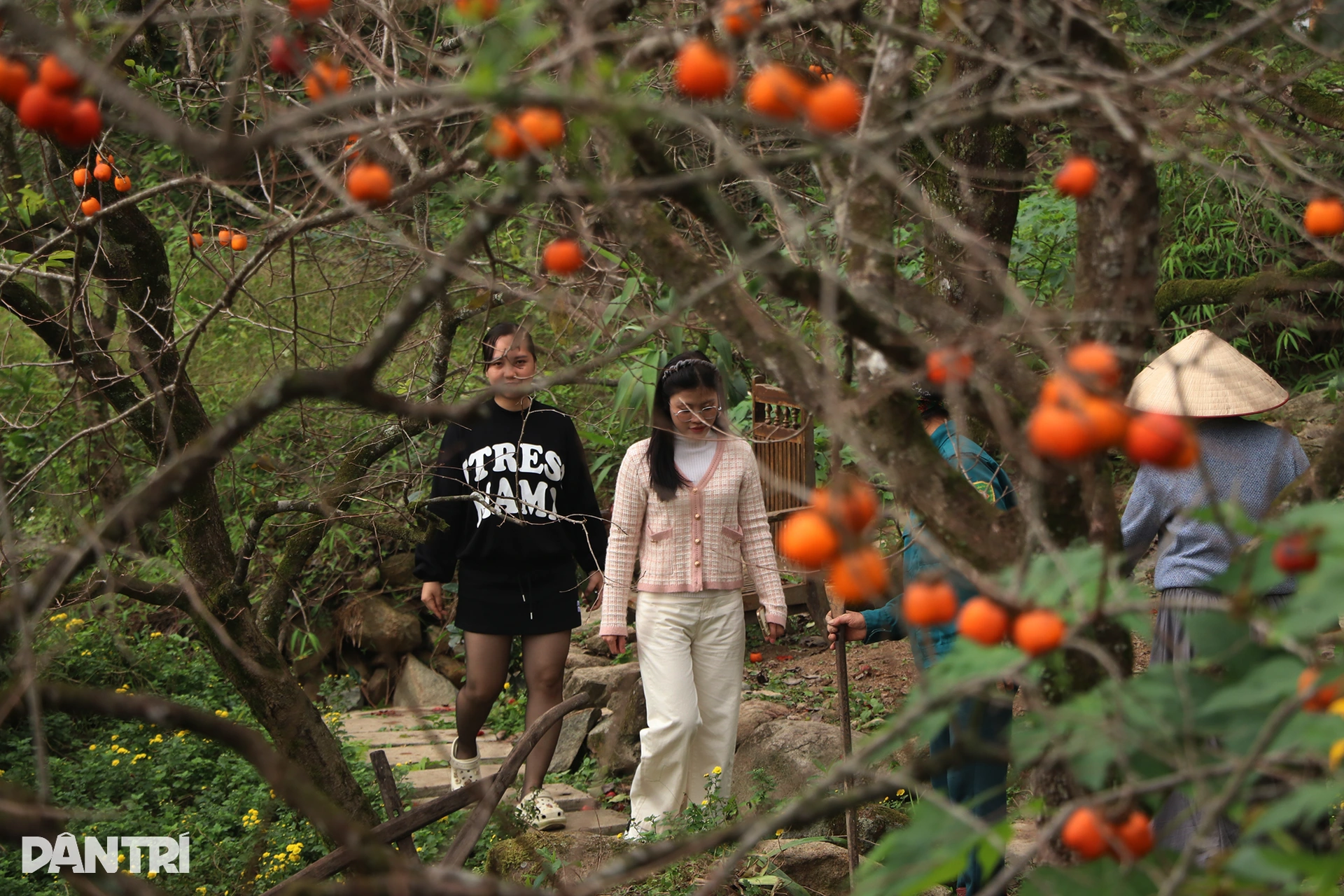 5.เว็บพี