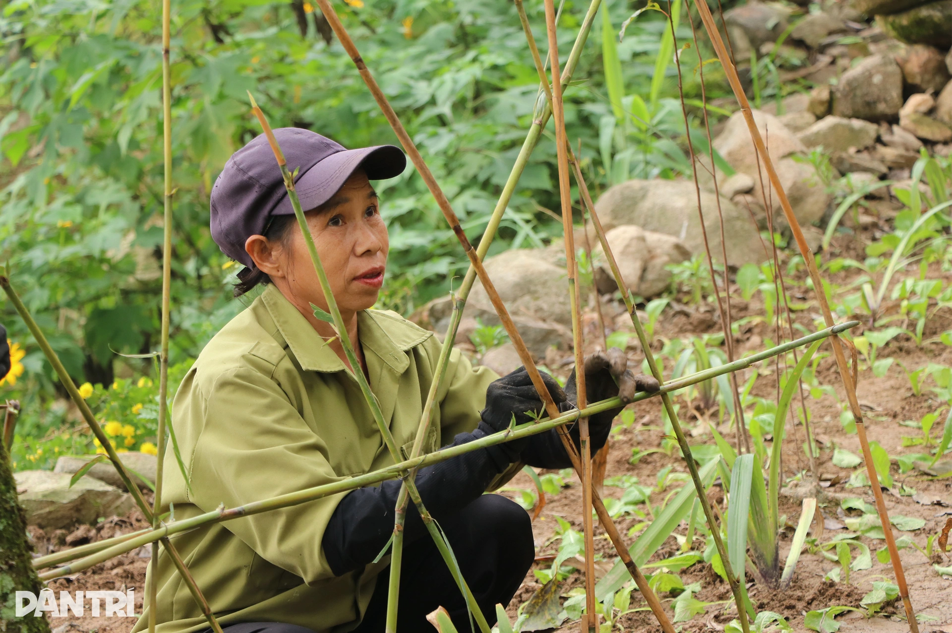 7.เว็บพี