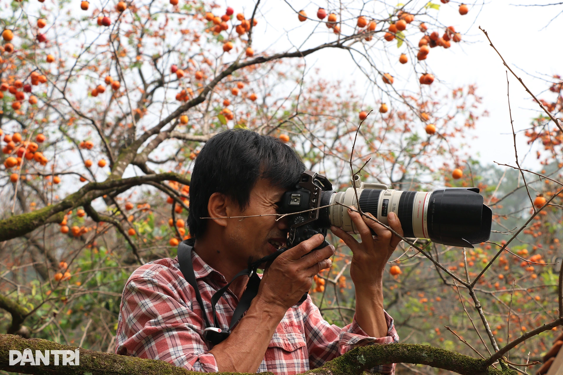 8.เว็บพี