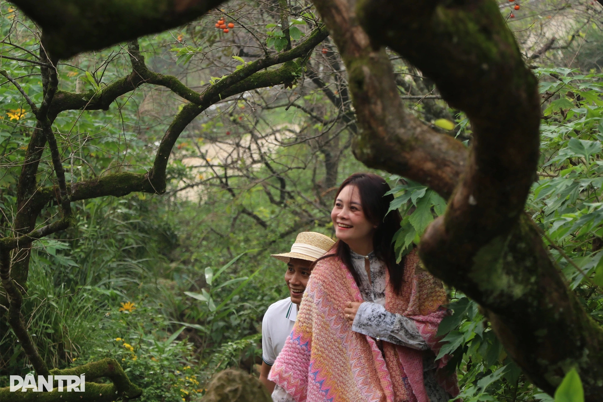 9.เว็บพี