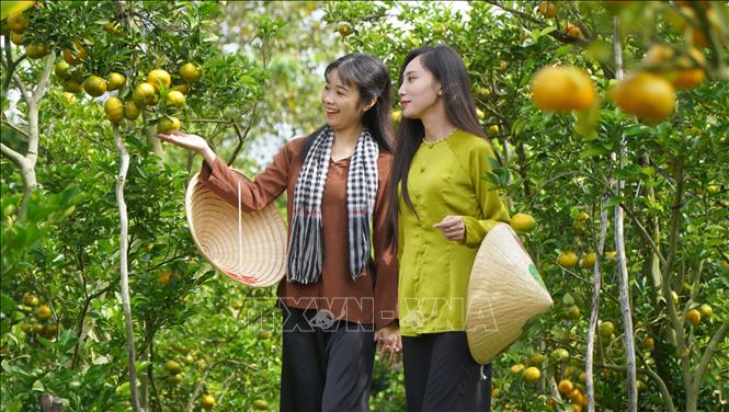 ចំណងជើងរូបថត