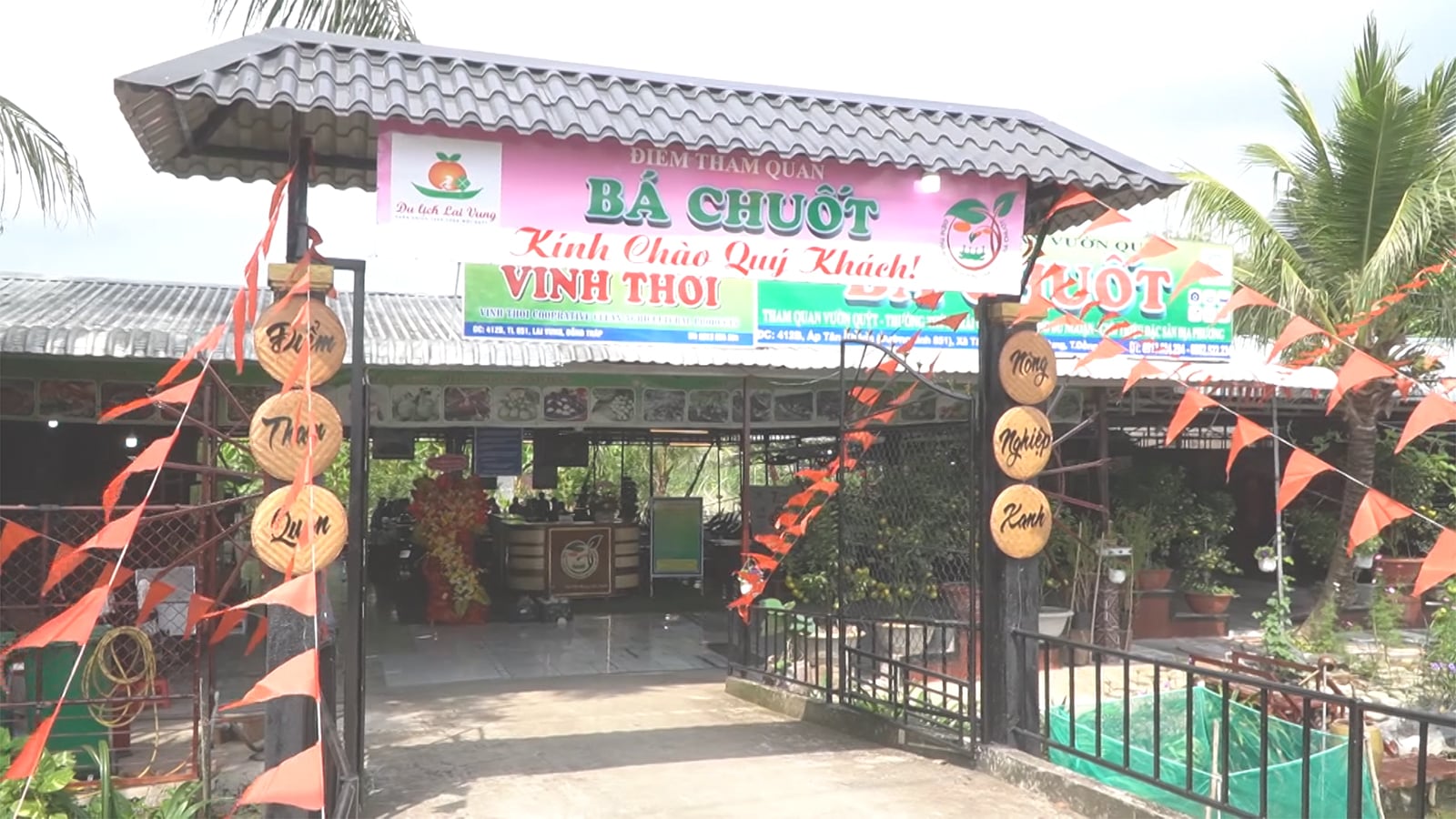 संतरे के बाग के आकर्षण आगंतुकों के लिए खुले हैं।