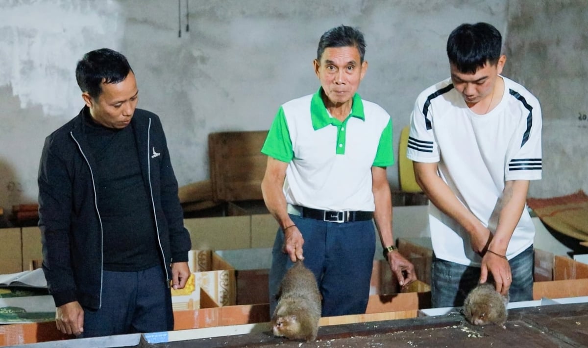 Bên cạnh lĩnh vực địa chính, xây dựng, môi trường, anh Nguyễn Văn Là (ngoài cùng bên trái) quán xuyến luôn cả công tác giám sát, quản lý dịch bệnh chăn nuôi, thú y. Ảnh: Việt Khánh.  