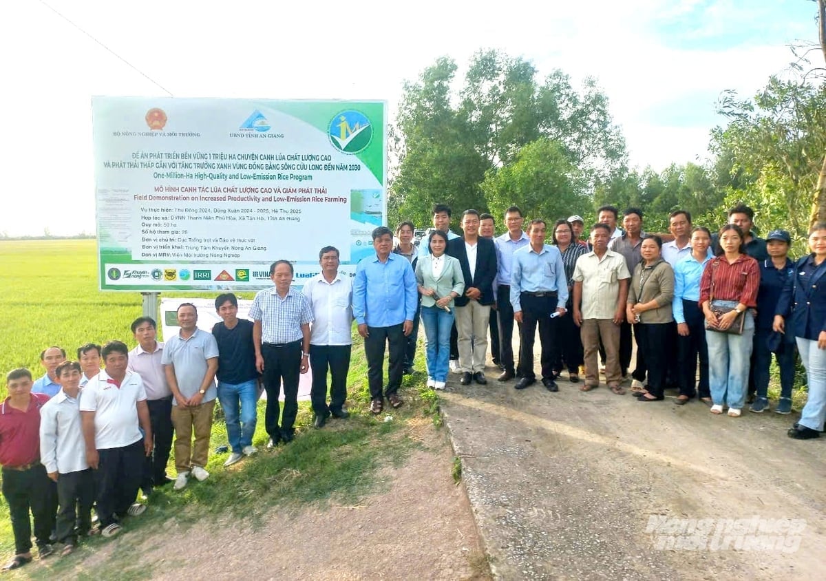 Οι περιοχές παραγωγής ρυζιού υψηλής ποιότητας και χαμηλών εκπομπών στο An Giang είναι οργανωμένες σύμφωνα με το μοντέλο μεγάλης κλίμακας, εφαρμόζοντας έξυπνες γεωργικές διαδικασίες για τη μείωση του κόστους, την αύξηση της παραγωγικότητας και την ενίσχυση της αξίας των κόκκων ρυζιού. Φωτογραφία: Le Hoang Vu. Vùng sản xuất lúa chất lượng cao, phát thải thấp tại An Giang được tổ chức theo mô hình cánh đồng lớn, áp dụng quy trình canh tác thông minh, giảm chi phí, nâng cao năng suất và giá trị hạt gạo. Ảnh: Lê Hoàng Vũ.