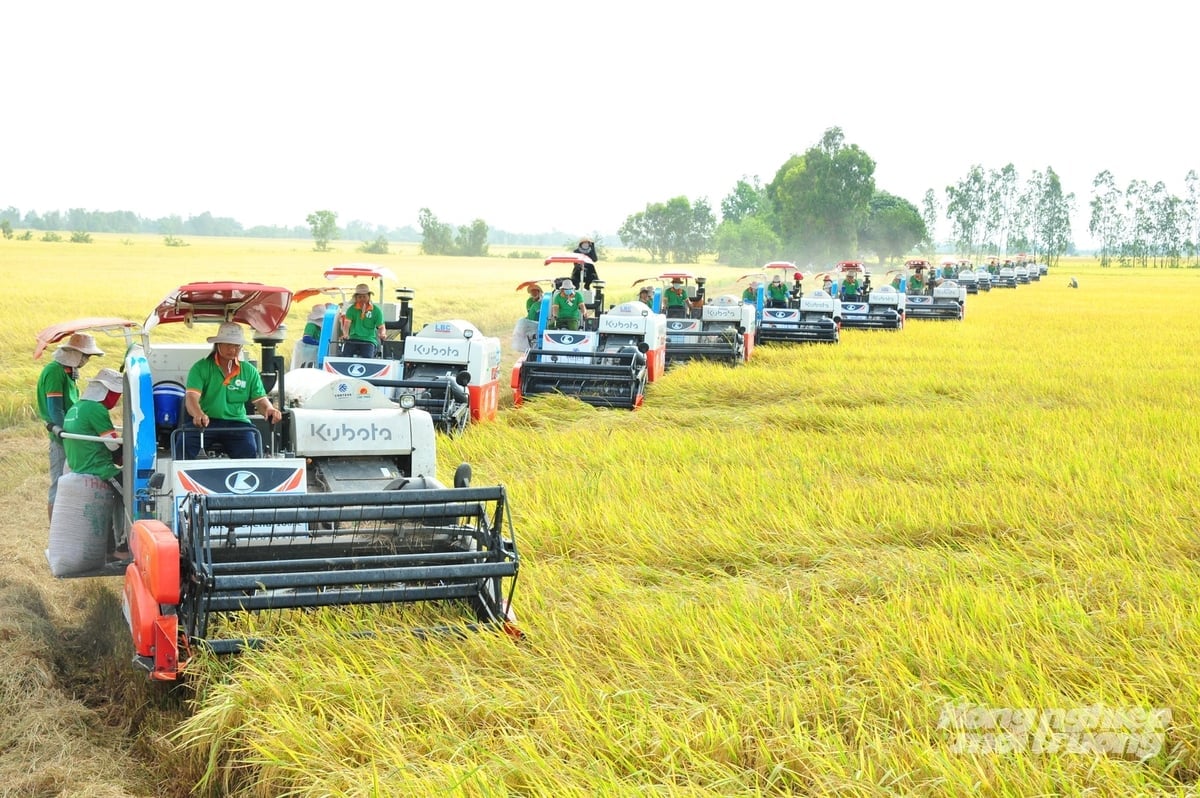 Οι γεωργικοί συνεταιρισμοί An Giang υπογράφουν συμφωνίες για τη σύνδεση της γεωργικής παραγωγής και κατανάλωσης με τις επιχειρήσεις, δημιουργώντας σταθερές διεξόδους, αυξάνοντας τα κέρδη για τα μέλη και προωθώντας την αγροτική αναδιάρθρωση κατά μήκος της αλυσίδας αξίας. Φωτογραφία: Le Hoang Vu. Hợp tác xã nông nghiệp An Giang ký kết liên kết sản xuất, tiêu thụ nông sản với doanh nghiệp, tạo đầu ra ổn định, nâng cao lợi nhuận cho thành viên và thúc đẩy tái cơ cấu nông nghiệp theo chuỗi giá trị. Ảnh: Lê Hoàng Vũ.