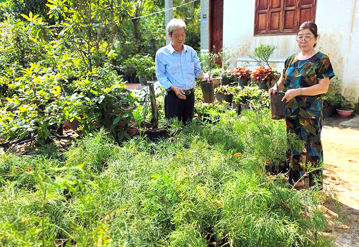 ចង្កោមដើមស្រល់ដ៏កម្រនៅទីក្រុង Can Tho